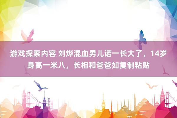 游戏探索内容 刘烨混血男儿诺一长大了，14岁身高一米八，长相和爸爸如复制粘贴